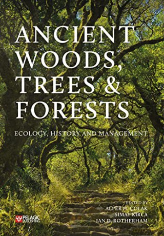 Ancient Woods Trees And Forests - Alper Colak [KSIĄŻKA]