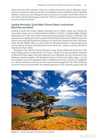 Ancient Woods Trees And Forests - Alper Colak [KSIĄŻKA]