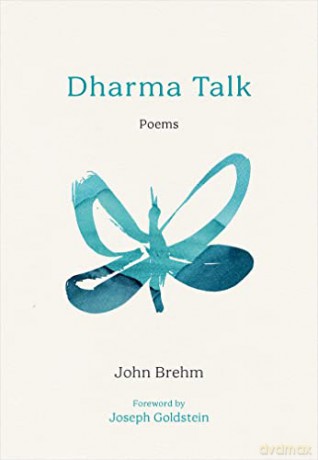 Dharma Talk - John Brehm [KSIĄŻKA]