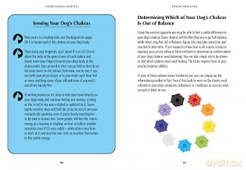 Chakra Healing For Dogs - Lynn Mckenzie [KSIĄŻKA]