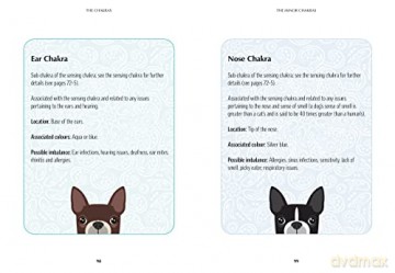 Chakra Healing For Dogs - Lynn Mckenzie [KSIĄŻKA]