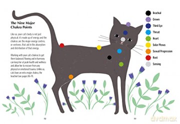 Chakra Healing For Cats - Lynn Mckenzie [KSIĄŻKA]