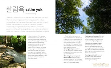 Book Of Korean Self Care - Isa Kujawski [KSIĄŻKA]