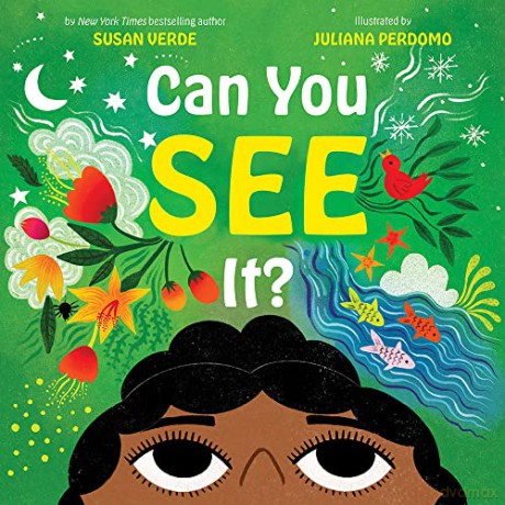 Can You See It - Susan Verde [KSIĄŻKA]