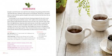 Healing Herbal Teas - Sarah Farr [KSIĄŻKA]