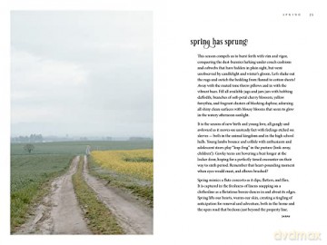 Furrow Andamp - Beth Syphers [KSIĄŻKA]