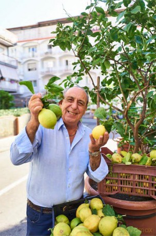 Gennaros Cucina - Gennaro Contaldo [KSIĄŻKA]