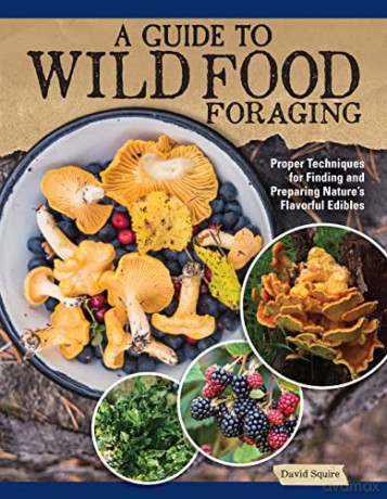 Guide To Wild Food Foraging - David Squire [KSIĄŻKA]
