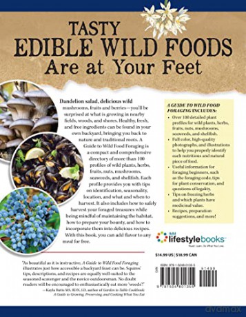 Guide To Wild Food Foraging - David Squire [KSIĄŻKA]