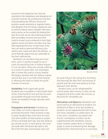 Herbs For Pets - Wulff Mary L. [KSIĄŻKA]
