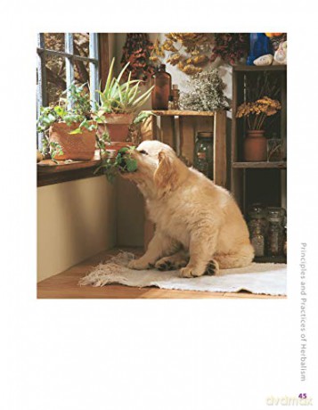 Herbs For Pets - Wulff Mary L. [KSIĄŻKA]