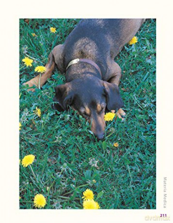 Herbs For Pets - Wulff Mary L. [KSIĄŻKA]