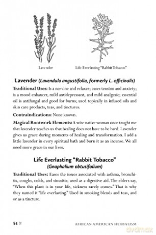 African American Herbalism - Lucretia Vandyke [KSIĄŻKA]