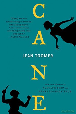Cane - Jean Toomer [KSIĄŻKA]