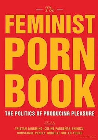 Feminist Porn Book Politics Producingp [KSIĄŻKA]