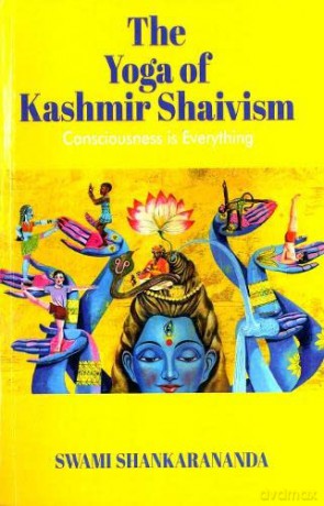 Consciousness Is Everything - Swami Shankarananda [KSIĄŻKA]