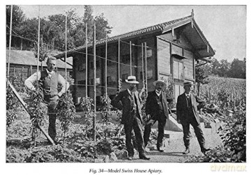 First Lessons In Beekeeping - Camille Dadant [KSIĄŻKA]