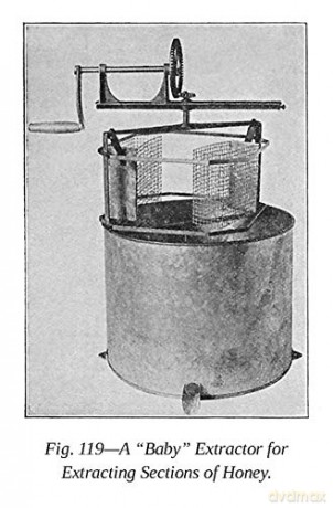 First Lessons In Beekeeping - Camille Dadant [KSIĄŻKA]