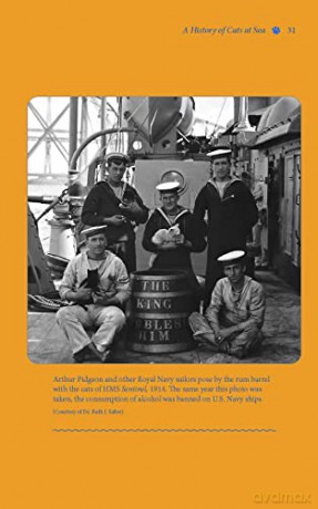 Cats In The Navy - Scott Christenson [KSIĄŻKA]