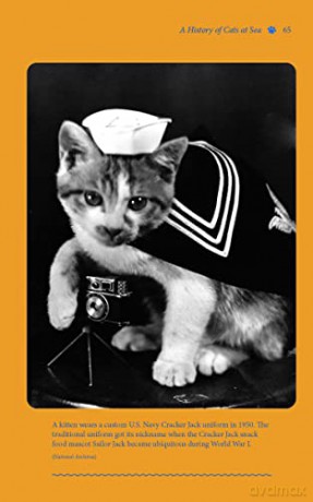 Cats In The Navy - Scott Christenson [KSIĄŻKA]