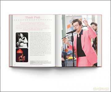 Harry Styles - Terry Newman [KSIĄŻKA]