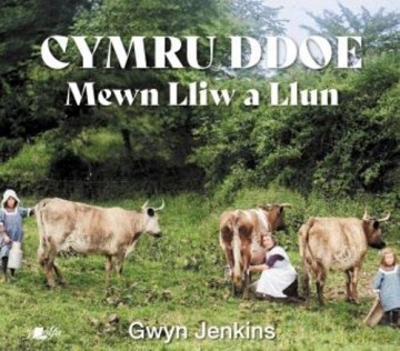 Cymru Ddoe Mewn Lliw A Llun - JenkinsGwyn [KSIĄŻKA]