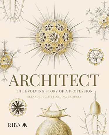 Architect - Eleanor Jolliffe [KSIĄŻKA]