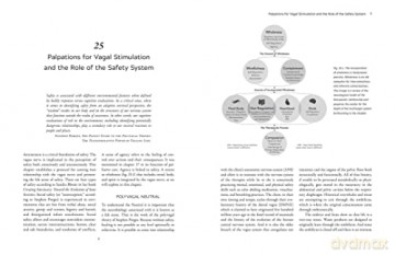Biodynamics Of The Immune System - Michael J Shea [KSIĄŻKA]