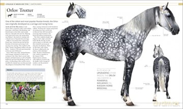 Horse Encyclopedia - Elwyn H Edwards [KSIĄŻKA]