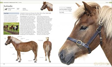 Horse Encyclopedia - Elwyn H Edwards [KSIĄŻKA]