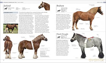 Horse Encyclopedia - Elwyn H Edwards [KSIĄŻKA]
