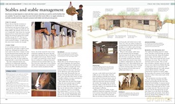 Horse Encyclopedia - Elwyn H Edwards [KSIĄŻKA]