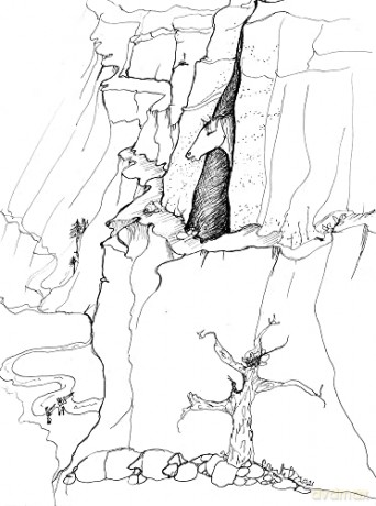 Canyon Wren [KSIĄŻKA]