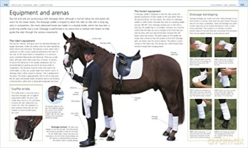 Complete Horse Riding Manual - William Micklem [KSIĄŻKA]
