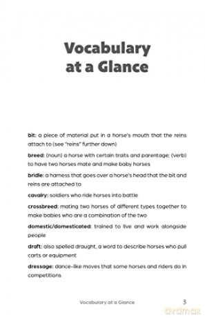 Big Book Of Horse Trivia For Kids - Bernadette Johnson [KSIĄŻKA]