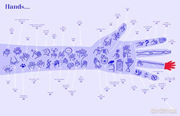 Hand Book - Magda Gargulakova [KSIĄŻKA]