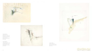 Gesture And Line - John-Paul Stonard M [KSIĄŻKA]