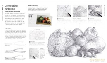 Artists Drawing Techniques - Dk [KSIĄŻKA]