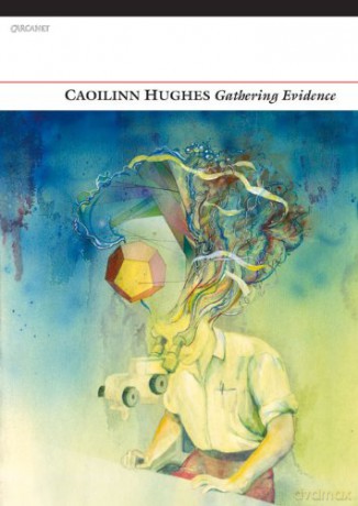 Gathering Evidence - Caoilinn Hughes [KSIĄŻKA]