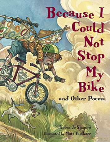 Because I Could Not Stop My Bike - Shapiro Karen [KSIĄŻKA]