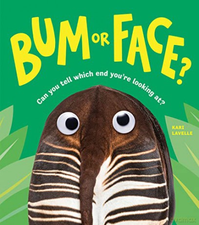 Bum Or Face - Kari Lavelle [KSIĄŻKA]