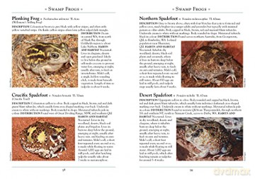 Frogs Of Australia - Scott Eipper [KSIĄŻKA]