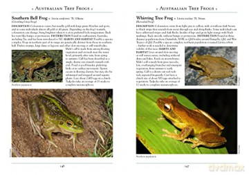 Frogs Of Australia - Scott Eipper [KSIĄŻKA]