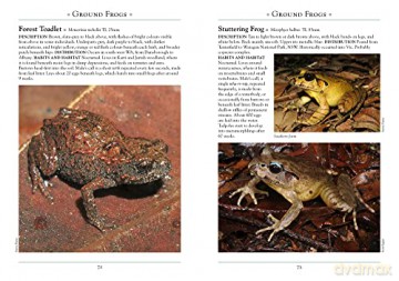Frogs Of Australia - Scott Eipper [KSIĄŻKA]