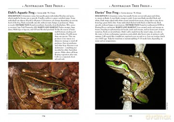 Frogs Of Australia - Scott Eipper [KSIĄŻKA]