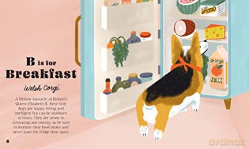 Dogphabet A Whimsical Celebration Of Our - Harper By Design [KSIĄŻKA]