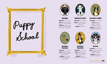 Dogphabet A Whimsical Celebration Of Our - Harper By Design [KSIĄŻKA]