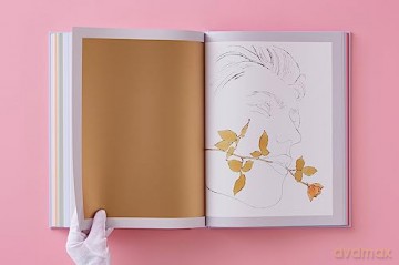 Andy Warhol Seven Illustrated Books - Andy Warhol [KSIĄŻKA]