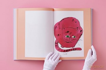 Andy Warhol Seven Illustrated Books - Andy Warhol [KSIĄŻKA]