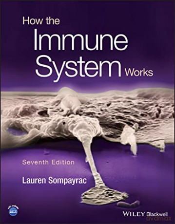 How The Immune System Works - Lauren M Sompayrac [KSIĄŻKA]